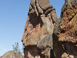 Pinnacles NM 011
